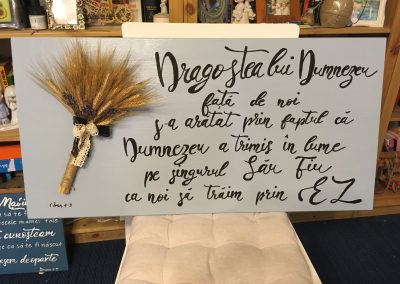 Grace's Gift Shop - Tablouri decorate cu flori și plante uscate
