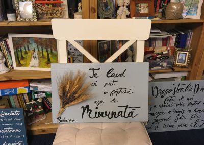 Grace's Gift Shop - Tablouri decorate cu flori și plante uscate