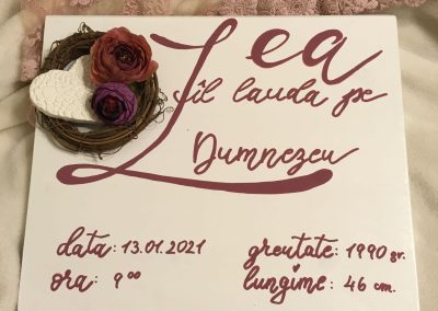 Grace's Gift Shop - Tablouri decorate cu flori și plante uscate
