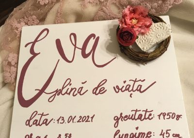 Grace's Gift Shop - Tablouri decorate cu flori și plante uscate