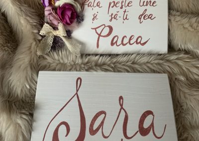 Grace's Gift Shop - Tablouri decorate cu flori și plante uscate