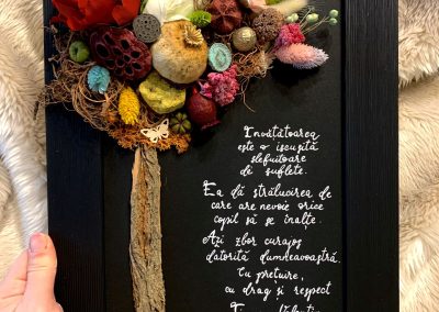 Grace's Gift Shop - Tablouri decorate cu flori și plante uscate